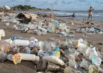 Alianza Verde reclama un Tratado Mundial de Plásticos ambicioso, y valentía a los estados para evitar los bloqueos y las presiones de la industria fósil