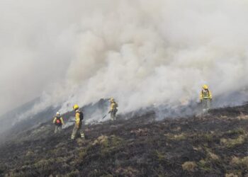 CCOO: «España colapsada y ardiendo por la falta de respuesta política adecuada y la carencia de un sistema estatal integrado de emergencias»