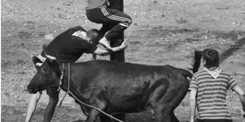 Elkarrekin Podemos se suma a la convocatoria de la plataforma Sokamuturra Ez! que pide la eliminación del uso de animales en las pruebas para cuadrillas de las fiestas del Puerto Viejo