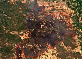 Izquierda Unida reclama a la Junta de Castilla y León que abandone el partidismo y atienda a las personas afectadas por los incendios