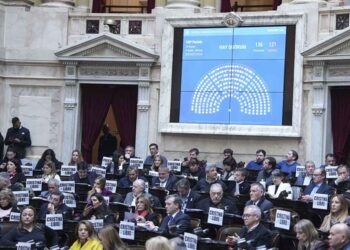 Oposición a la carga en el Congreso de Argentina