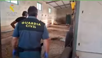 El Partido Animalista exige prisión sin fianza para el responsable de la muerte de 32 perros de caza en Azuaga