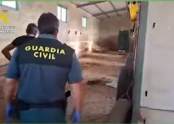 El Partido Animalista exige prisión sin fianza para el responsable de la muerte de 32 perros de caza en Azuaga