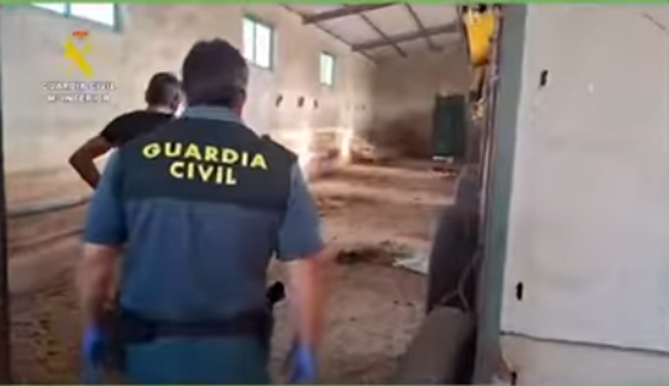 El Partido Animalista exige prisión sin fianza para el responsable de la muerte de 32 perros de caza en Azuaga