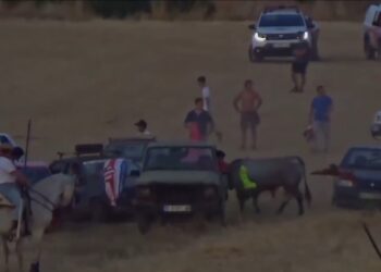 Unidas por Fontanar exige explicaciones a la alcaldía por las infracciones en los encierros
