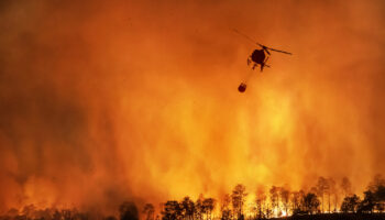 España alcanza casi 350.000 hectáreas quemadas en lo que va de año, consecuencia de incendiarios, falta de prevención y abandono de la superficie forestal