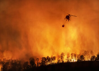 España alcanza casi 350.000 hectáreas quemadas en lo que va de año, consecuencia de incendiarios, falta de prevención, abandono de la superficie forestal y cambio climático