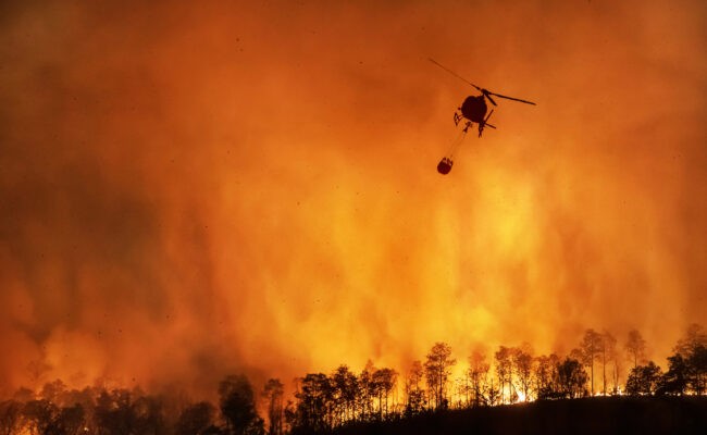 España alcanza casi 350.000 hectáreas quemadas en lo que va de año, consecuencia de incendiarios, falta de prevención, abandono de la superficie forestal y cambio climático