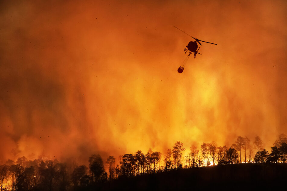España alcanza casi 350.000 hectáreas quemadas en lo que va de año, consecuencia de incendiarios, falta de prevención, abandono de la superficie forestal y cambio climático