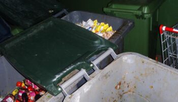 El desperdicio alimentario en España se ha reducido el 4,4 % en 2024, hasta los 1.125 millones de kilos