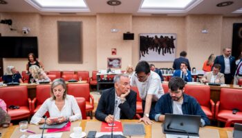 Denuncian en la Diputación Permanente del Congreso el genocidio de Israel en Palestina