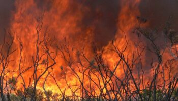 El Gobierno declara la fase de preemergencia ante los numerosos incendios
