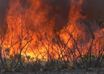 El Gobierno declara la fase de preemergencia ante los numerosos incendios