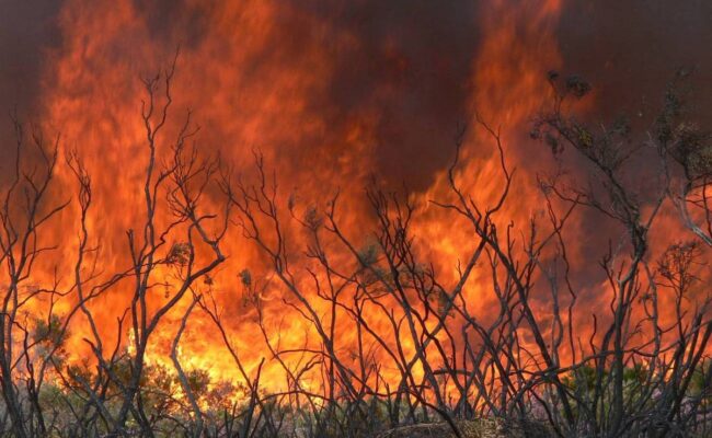 El Gobierno declara la fase de preemergencia ante los numerosos incendios