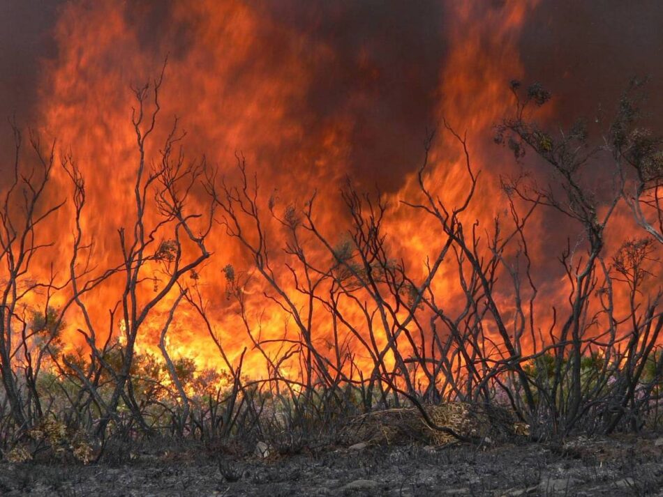 El Gobierno declara la fase de preemergencia ante los numerosos incendios