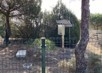 Estudian técnicas para medir cómo se infiltra el agua subterránea en Doñana