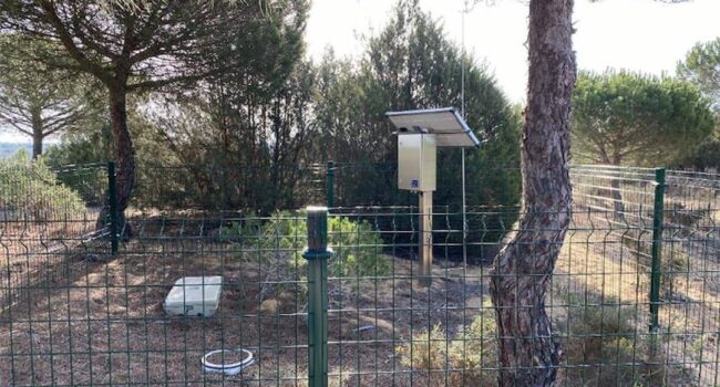 Estudian técnicas para medir cómo se infiltra el agua subterránea en Doñana