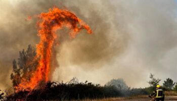 Fomentar la economía rural, el mejor antídoto contra los incendios