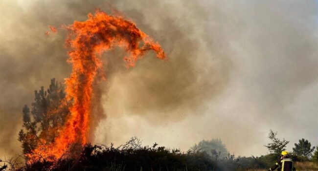 Fomentar la economía rural, el mejor antídoto contra los incendios