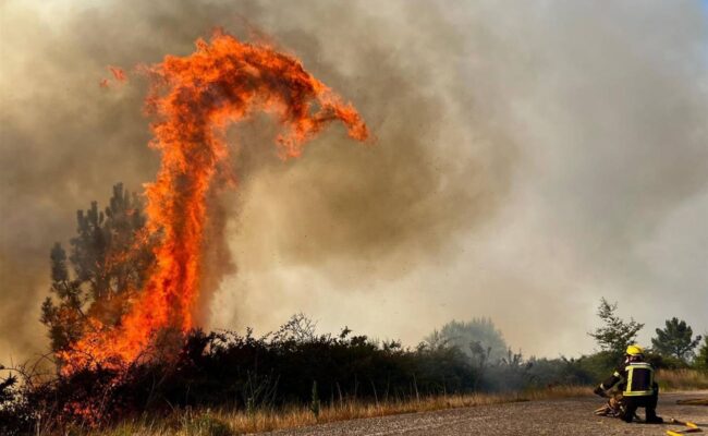 Fomentar la economía rural, el mejor antídoto contra los incendios