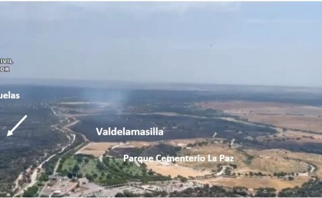 La Plataforma Ecologista Madrileña critica la ausencia de información sobre los daños causados por el incendio de Tres Cantos en el espacio protegido del monte de Viñuelas