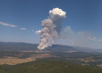 La CEAV exige más inversión pública y el fin de la privatización en la extinción de incendios