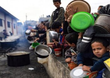 La FAO precisa que medio millón de palestinos en Gaza padece hambruna