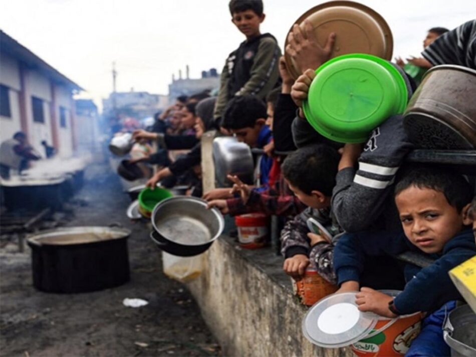 La FAO precisa que medio millón de palestinos en Gaza padece hambruna