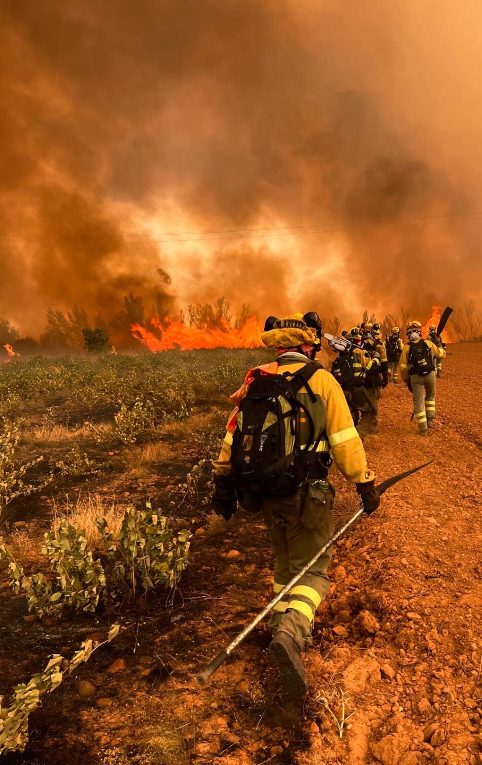CGT señala a la Junta de Castilla y León tras la muerte de otro bombero forestal en los graves incendios que se mantienen todavía activos en la zona