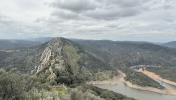 Ecologistas Extremadura presenta recurso contra el PRUG de Monfragüe por permitir caza y suelta de perros de rehala que ponen en riesgo especies protegidas