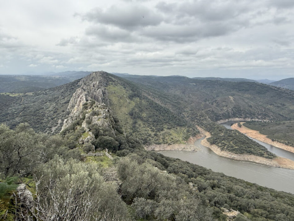 Ecologistas Extremadura presenta recurso contra el PRUG de Monfragüe por permitir caza y suelta de perros de rehala que ponen en riesgo especies protegidas