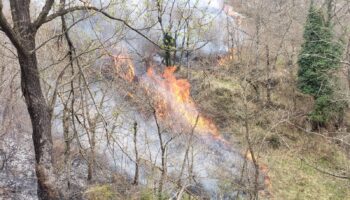 El humo de los incendios dispara la contaminación en el Sur Occidente de Asturias