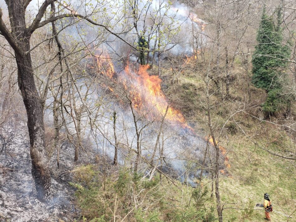 El humo de los incendios dispara la contaminación en el Sur Occidente de Asturias