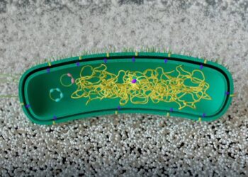 Modifican una bacteria para que ‘aprenda’ a descomponer plástico sin ADN externo