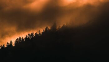 Subestiman la mortalidad de las partículas finas de incendios forestales en un 93%