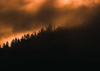 Subestiman la mortalidad de las partículas finas de incendios forestales en un 93%