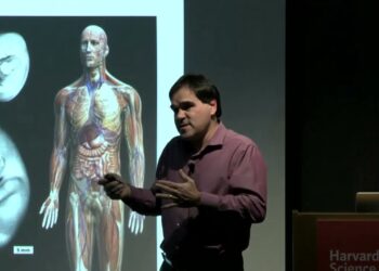 Dos innovaciones en la pelvis dieron a nuestros ancestros la capacidad de caminar erguidos
