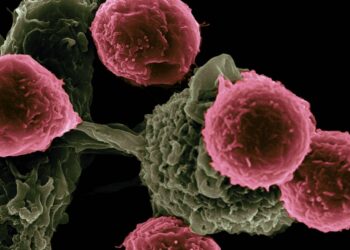 Una nueva vacuna muestra potencial para prolongar la supervivencia en cáncer de páncreas y colon