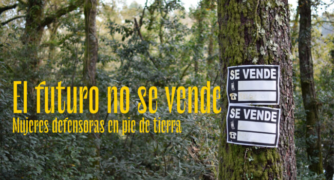 La Fundación InteRed lanza el audiovisual: “El futuro no se vende”, en homenaje a las mujeres que luchan por la justicia medioambiental en España