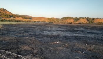 Izquierda Unida solicita la dimisión del concejal de Medio Ambiente Alcalá de Henares