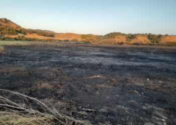 Izquierda Unida solicita la dimisión del concejal de Medio Ambiente Alcalá de Henares