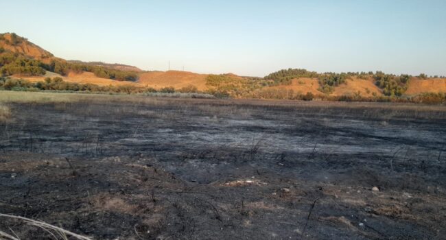 Izquierda Unida solicita la dimisión del concejal de Medio Ambiente Alcalá de Henares