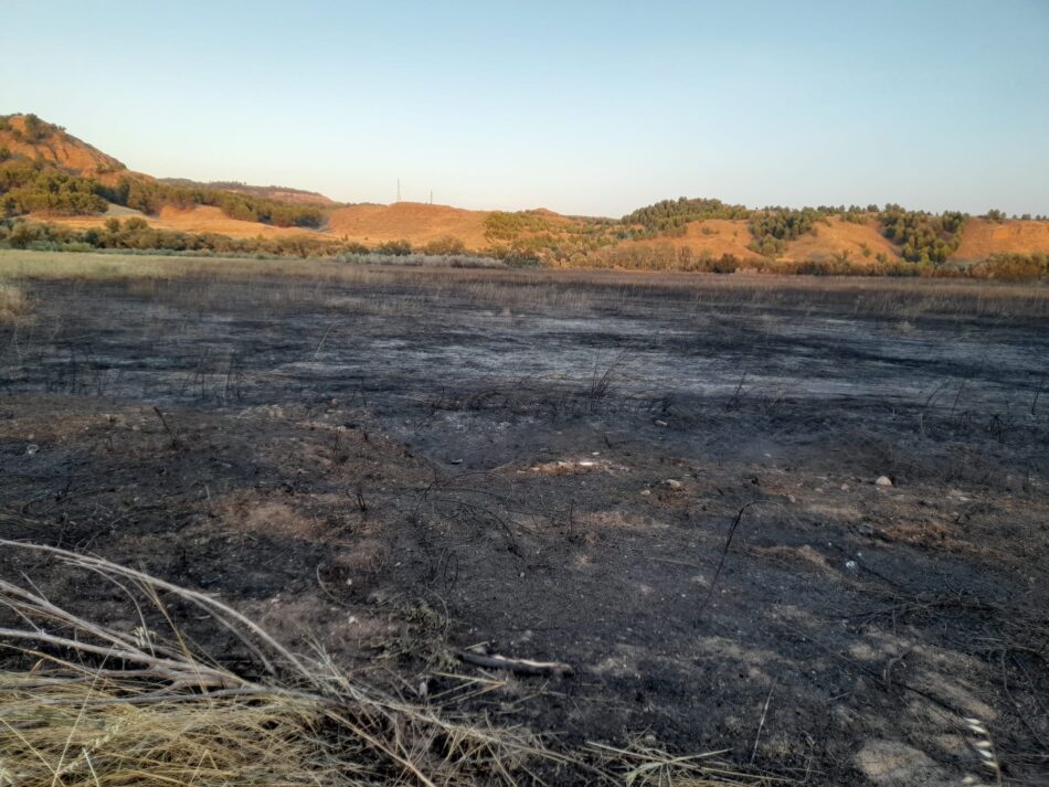 Izquierda Unida solicita la dimisión del concejal de Medio Ambiente Alcalá de Henares