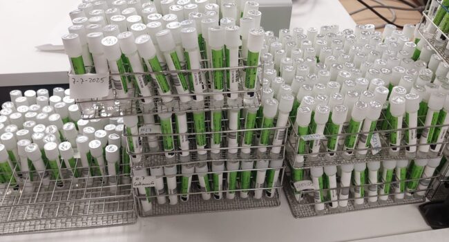 CCOO denuncia la precariedad en el Laboratorio de Microbiología en el Hospital de Jerez