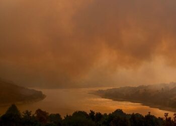 Urxen medidas amplas, efectivas e duradeiras para facer fronte aos incendios forestais