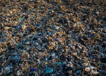 Las falsas soluciones a la contaminación por plásticos no consiguen frenar la marea de residuos