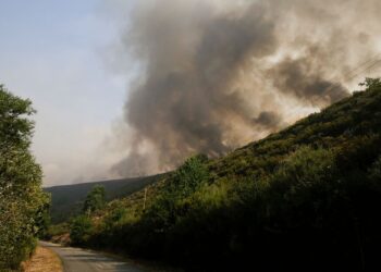Ante los incendios forestales, el PCE lleva a Interior la solicitud de Nivel 3 en León