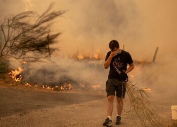 En el Día Mundial de Prevención de Incendios Forestales, Alianza Verde reclama tener en cuenta la gravedad de la emergencia climática y su avance, para redimensionar la política de prevención