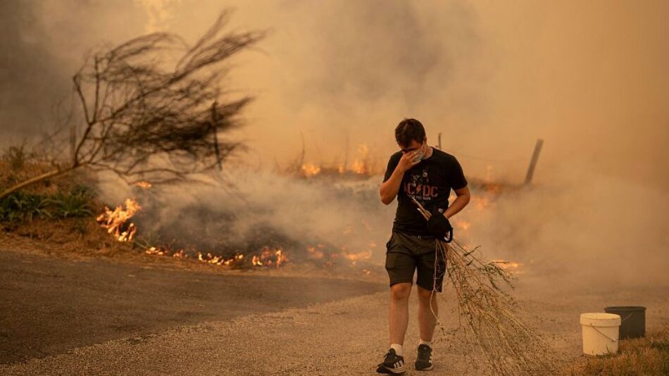 En el Día Mundial de Prevención de Incendios Forestales, Alianza Verde reclama tener en cuenta la gravedad de la emergencia climática y su avance, para redimensionar la política de prevención
