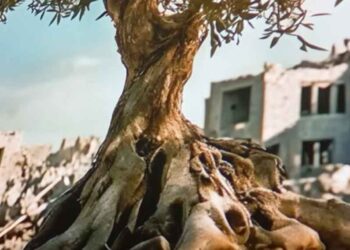 Chile recibe el documental La Raíz del Olivo sobre Palestina